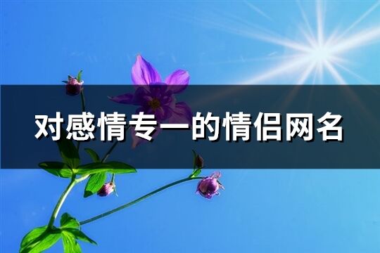 对感情专一的情侣网名(216个)