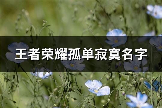 王者荣耀孤单寂寞名字(精选609个)