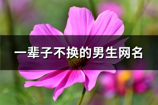 一辈子不换的男生网名(共309个)