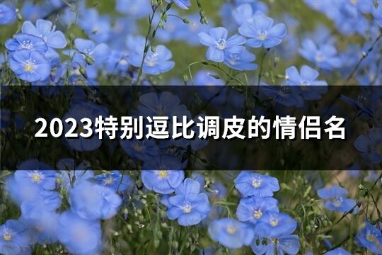 2023特别逗比调皮的情侣名(共109个)