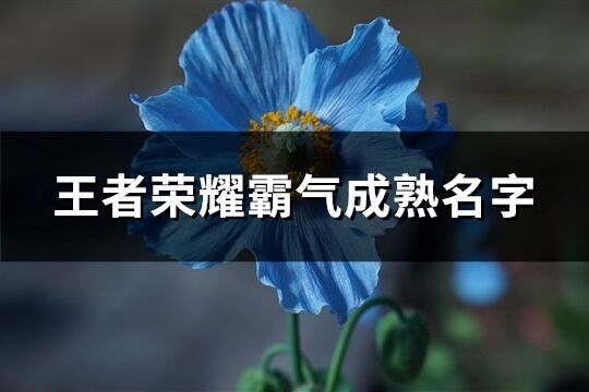 王者荣耀霸气成熟名字(精选320个)