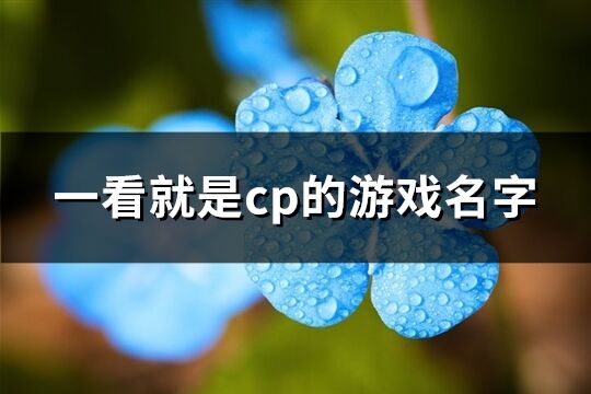 一看就是cp的游戏名字(精选791个)