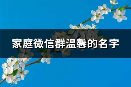 家庭微信群温馨的名字(167个)