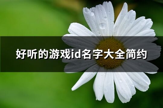 好听的游戏id名字大全简约(共253个)