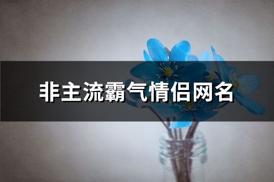 非主流霸气情侣网名(共132个)