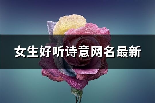 女生好听诗意网名最新(共219个)