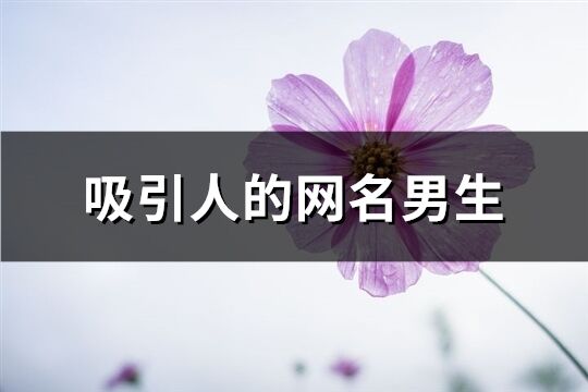 吸引人的网名男生(精选130个)