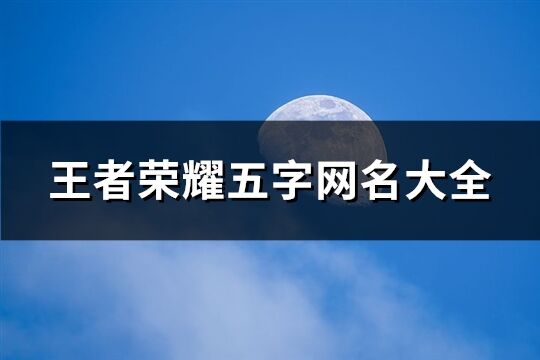 王者荣耀五字网名大全(650个)