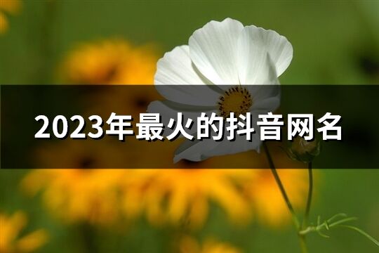 2023年最火的抖音网名(优选614个)