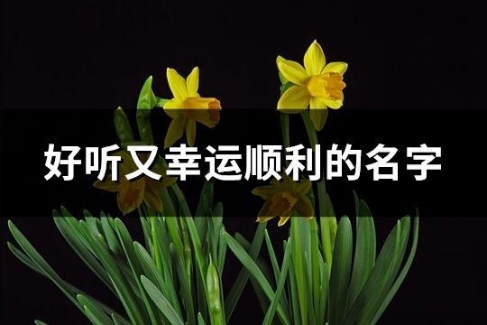 好听又幸运顺利的名字(精选245个)