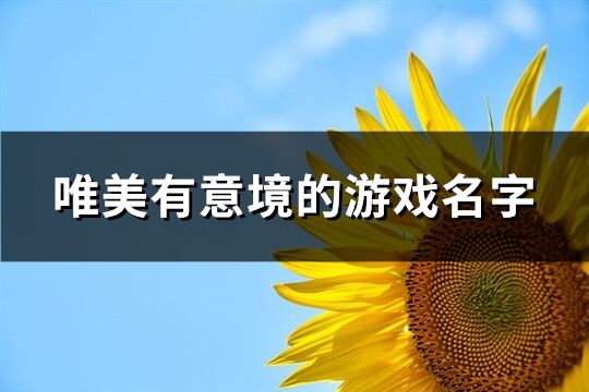 唯美有意境的游戏名字(563个)