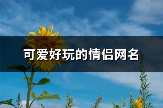 可爱好玩的情侣网名(共148个)