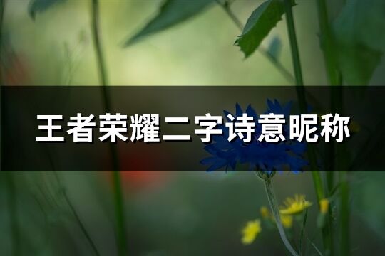 王者荣耀二字诗意昵称(共243个)