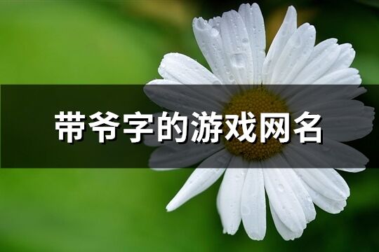 带爷字的游戏网名(精选67个)