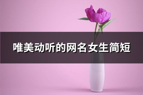 唯美动听的网名女生简短(精选360个)