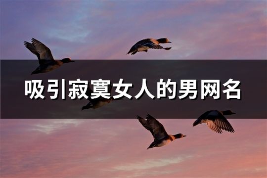 吸引寂寞女人的男网名(92个)