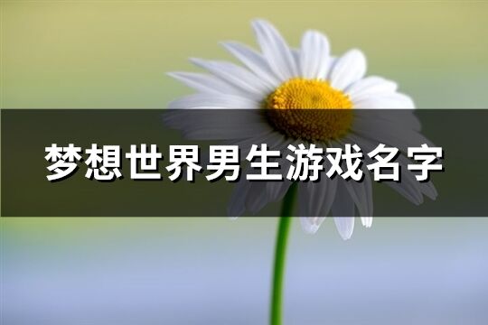 梦想世界男生游戏名字(共102个)