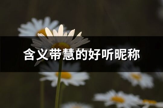 含义带慧的好听昵称(共73个)