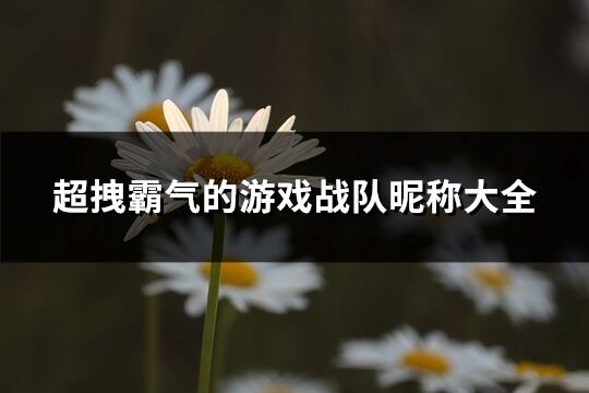 超拽霸气的游戏战队昵称大全(239个)