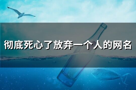 彻底死心了放弃一个人的网名(精选204个)