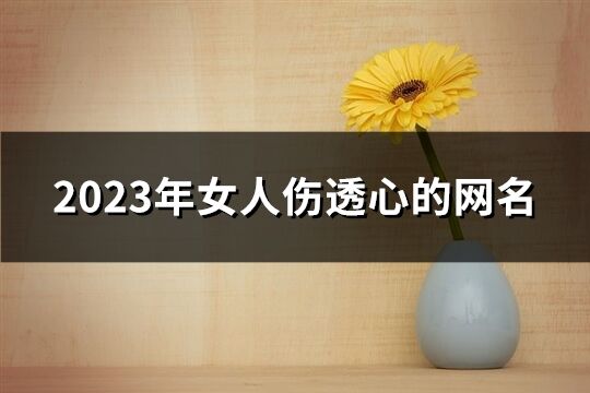 2023年女人伤透心的网名(精选242个)