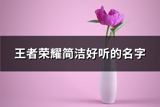 王者荣耀简洁好听的名字(共582个)