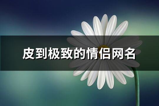 皮到极致的情侣网名(精选75个)