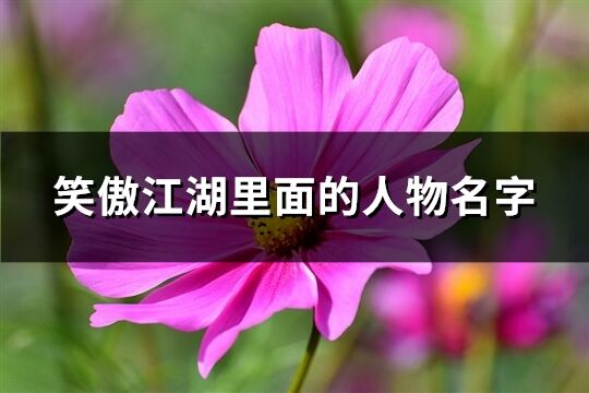 笑傲江湖里面的人物名字(66个)