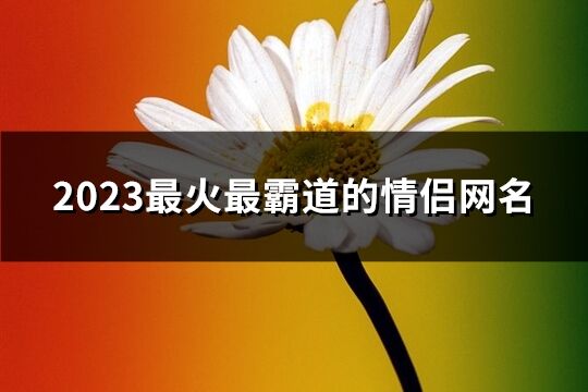 2023最火最霸道的情侣网名(精选194个)