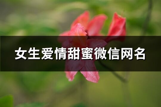 女生爱情甜蜜微信网名(精选126个)