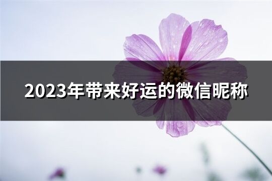 2023年带来好运的微信昵称(精选1979个)