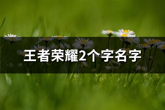 王者荣耀2个字名字(精选1401个)