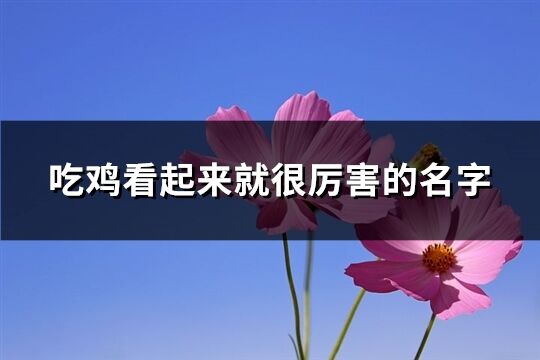 吃鸡看起来就很厉害的名字(精选448个)