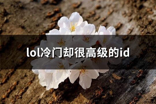 lol冷门却很高级的id(共62个)