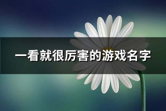 一看就很厉害的游戏名字(208个)