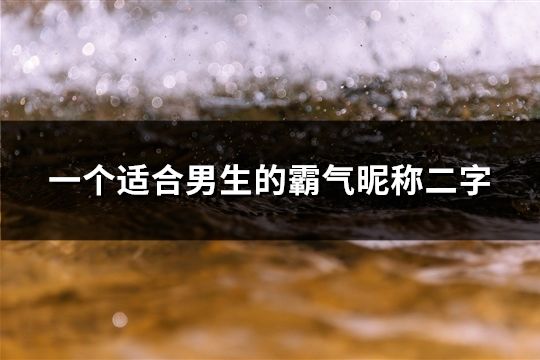 一个适合男生的霸气昵称二字(41个)