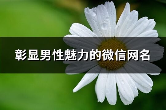 彰显男性魅力的微信网名(共989个)