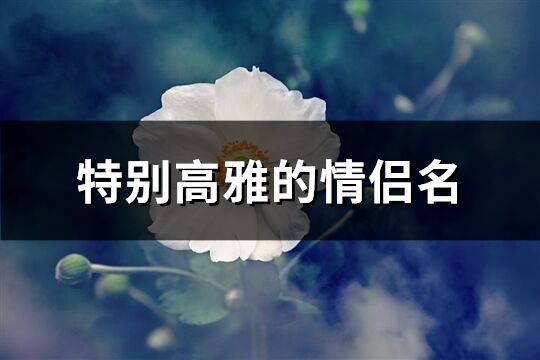 特别高雅的情侣名(精选133个)