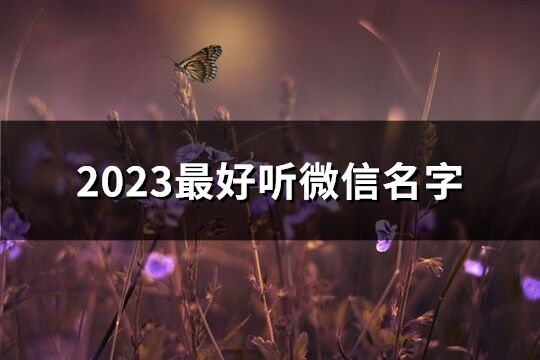 2023最好听微信名字(精选2885个)