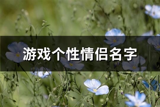 游戏个性情侣名字(268个)