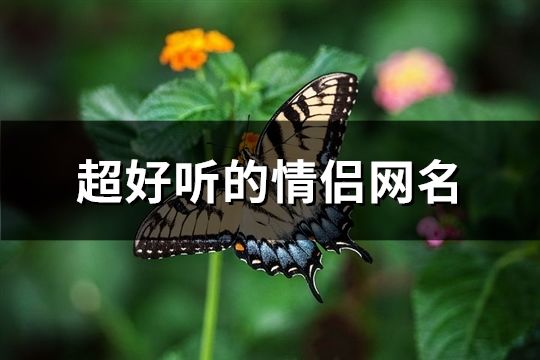 超好听的情侣网名(共77个)