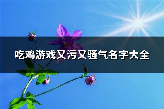 吃鸡游戏又污又骚气名字大全(共384个)