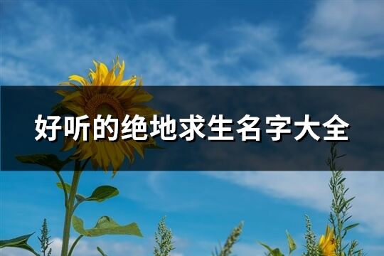 好听的绝地求生名字大全(共1031个)