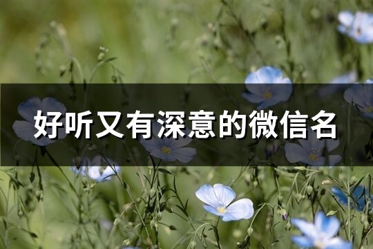 好听又有深意的微信名(共226个)