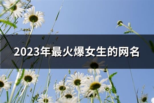 2023年最火爆女生的网名(1180个)