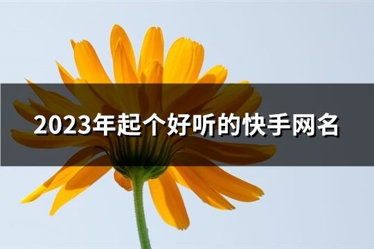 2023年起个好听的快手网名(精选559个)