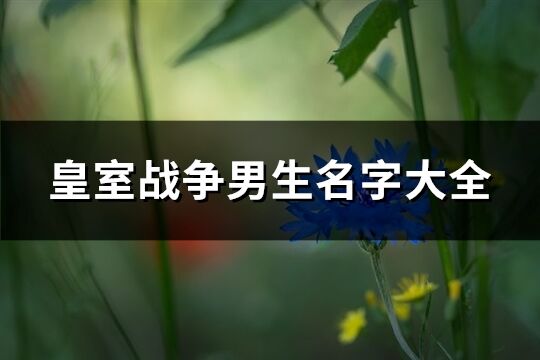 皇室战争男生名字大全(175个)