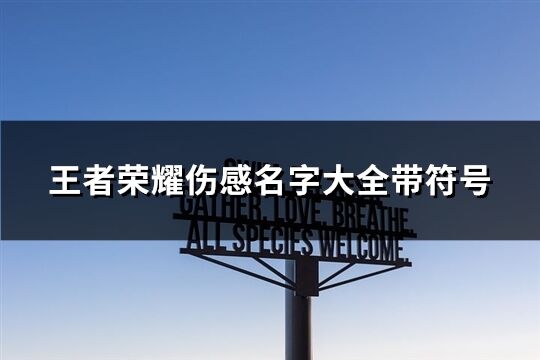 王者荣耀伤感名字大全带符号(共68个)