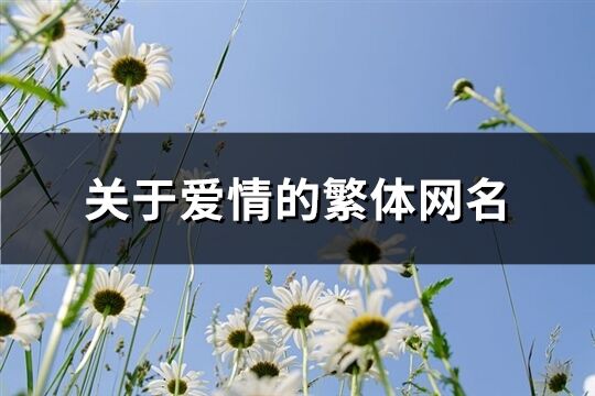 关于爱情的繁体网名(共92个)