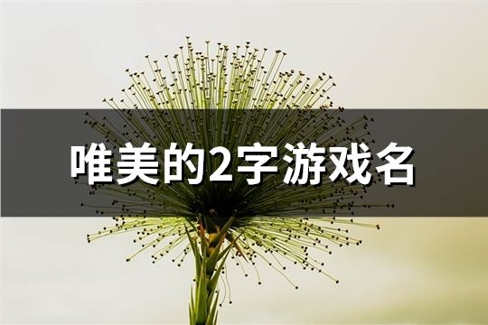 唯美的2字游戏名(共129个)